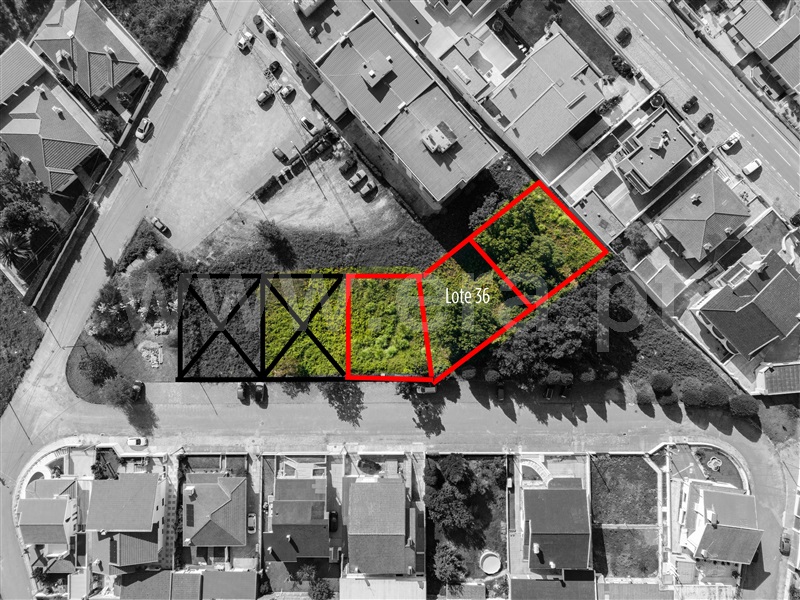 Lote / Santa Maria da Feira, Mozelos