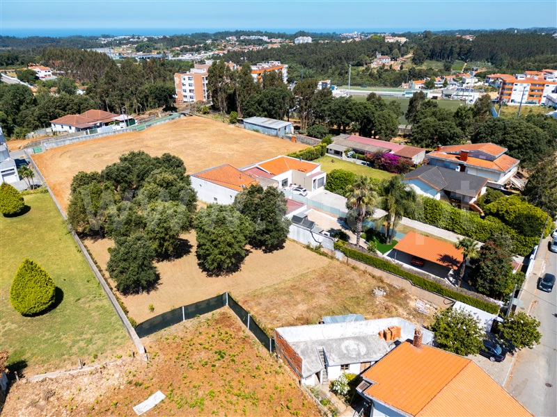Lote  Santa Maria da Feira, Paços de Brandão - 1491472 - 5