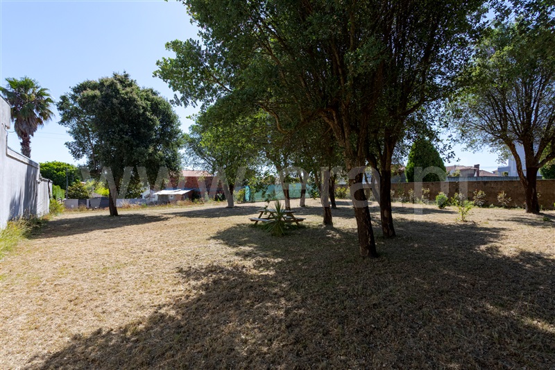 Lote  Santa Maria da Feira, Paços de Brandão - 1491472 - 16