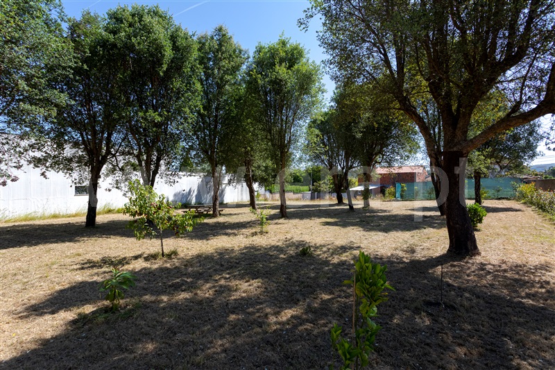 Lote  Santa Maria da Feira, Paços de Brandão - 1491472 - 17