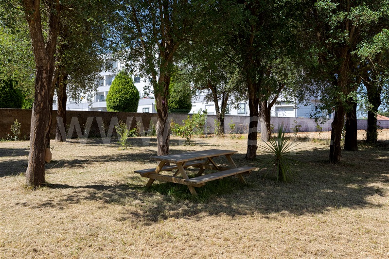 Lote  Santa Maria da Feira, Paços de Brandão - 1491472 - 19