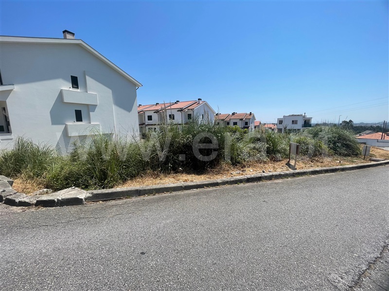 Lote / Santa Maria da Feira, Rio Meão