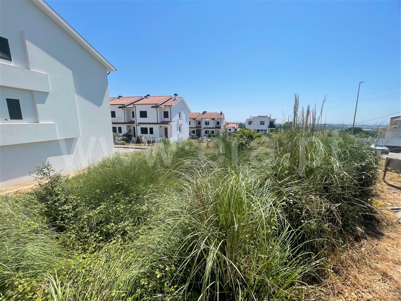 Lote  com Urbano Santa Maria da Feira, Rio Meão - 1494402 - 3