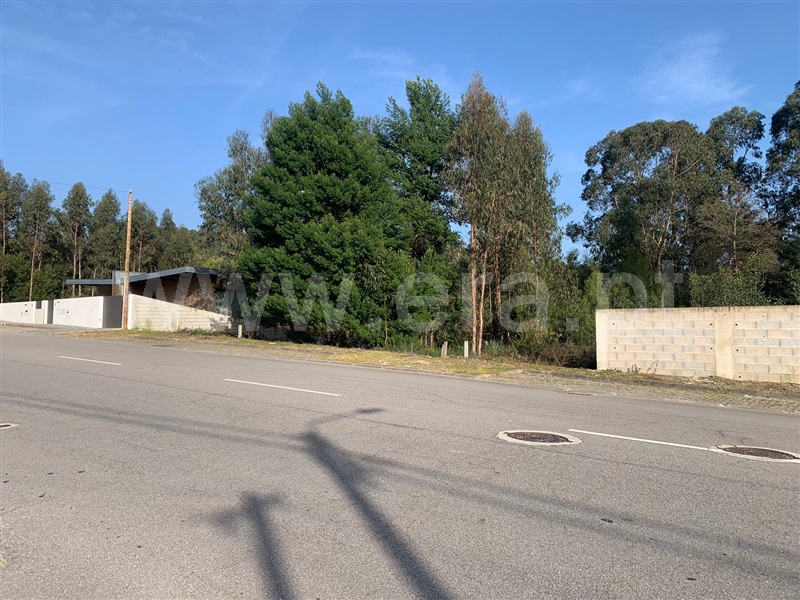 Lote  Santa Maria da Feira, Santa Maria da Feira, Travanca, Sanfins e Espargo - 1382288 - 1