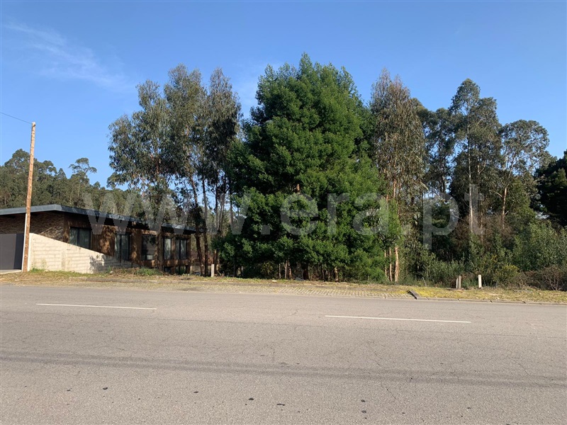Lote  Santa Maria da Feira, Santa Maria da Feira, Travanca, Sanfins e Espargo - 1382288 - 2