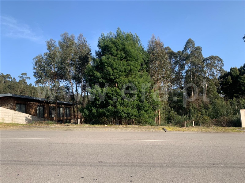 Lote  Santa Maria da Feira, Santa Maria da Feira, Travanca, Sanfins e Espargo - 1382288 - 3