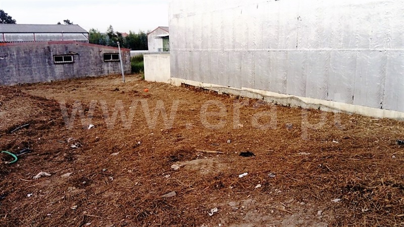Lote / Santa Maria da Feira, Santa Maria de Lamas
