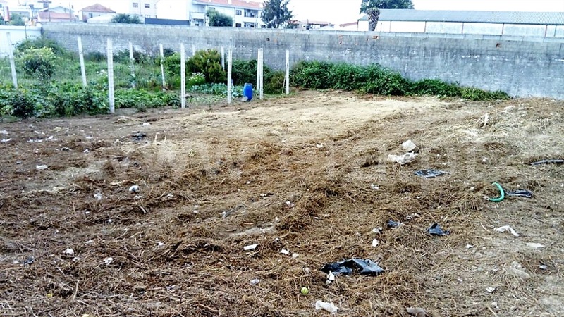 Lote / Santa Maria da Feira, Santa Maria de Lamas