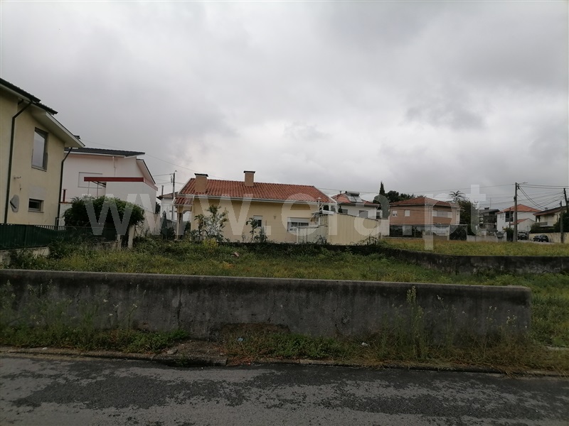 Lote / Santa Maria da Feira, Santa Maria de Lamas