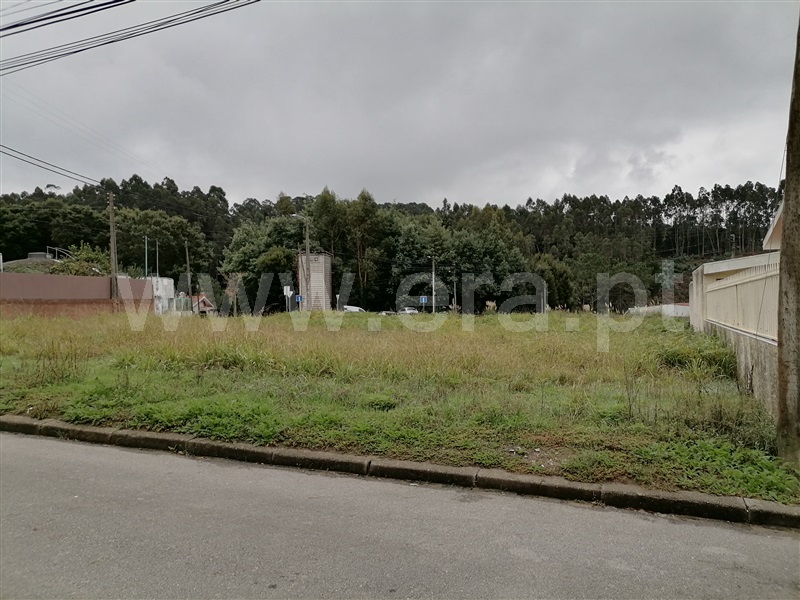Lote / Santa Maria da Feira, Santa Maria de Lamas