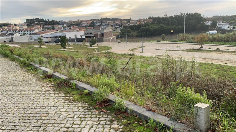 Lote / Santa Maria da Feira, São João de Vêr 1