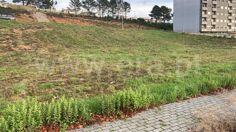 Lote / Santa Maria da Feira, São João de Vêr 1