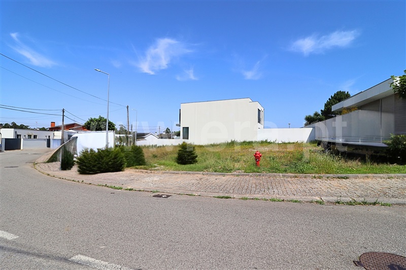 Lote / Santa Maria da Feira, São Miguel do Souto e Mosteirô