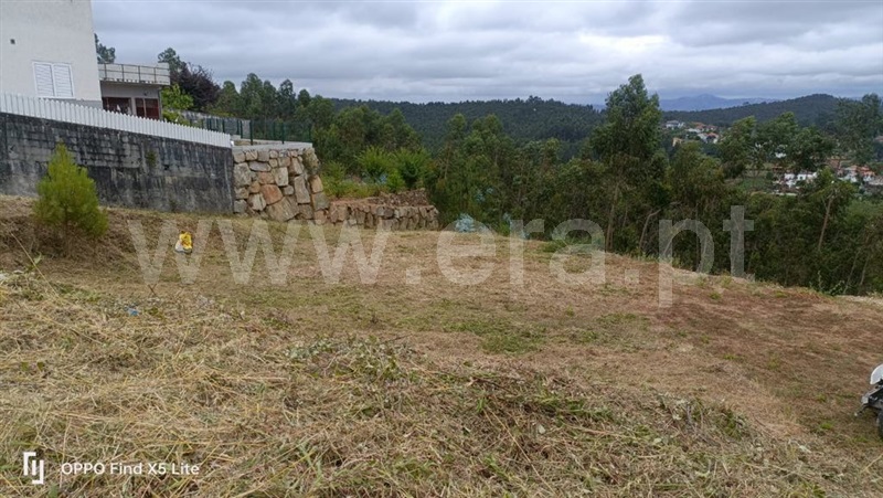 Lote / Santa Maria da Feira, Sousanil