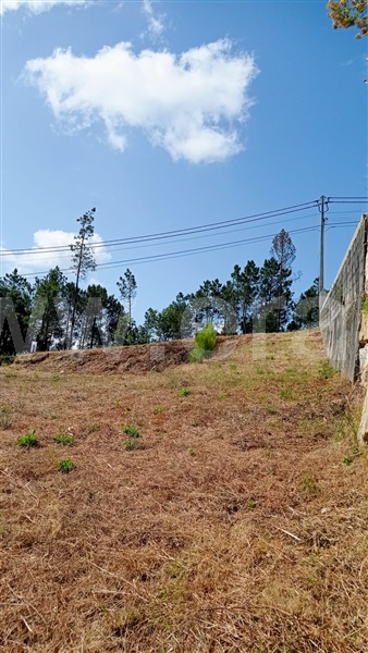 Lote  com Urbano Santa Maria da Feira, Sousanil - 1493757 - 7