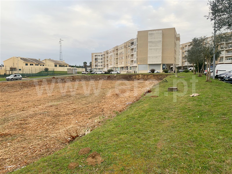 Lote / Santa Maria da Feira, Suil Park