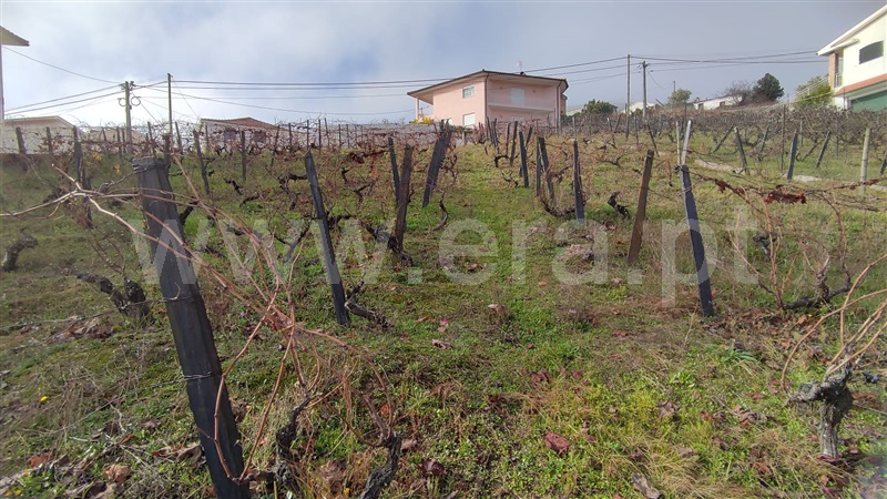 Lote  com Aprovado Santa Marta de Penaguião, Cumieira - 1217178 - 3