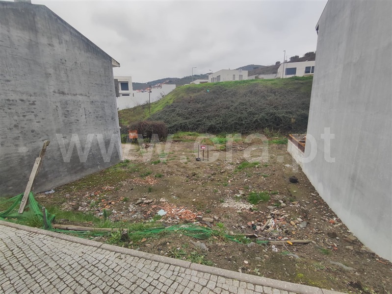 Lote  Santa Marta de Penaguião, Lobrigos (São Miguel e São João Baptista) e Sanhoane - 1374293 - 2