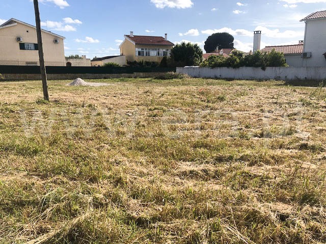 Lote / Santarém, Portela das Padeiras
