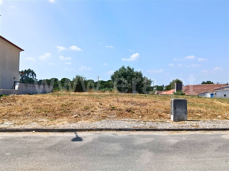 Lote  Santarém, Portela das Padeiras - 1492311 - 5