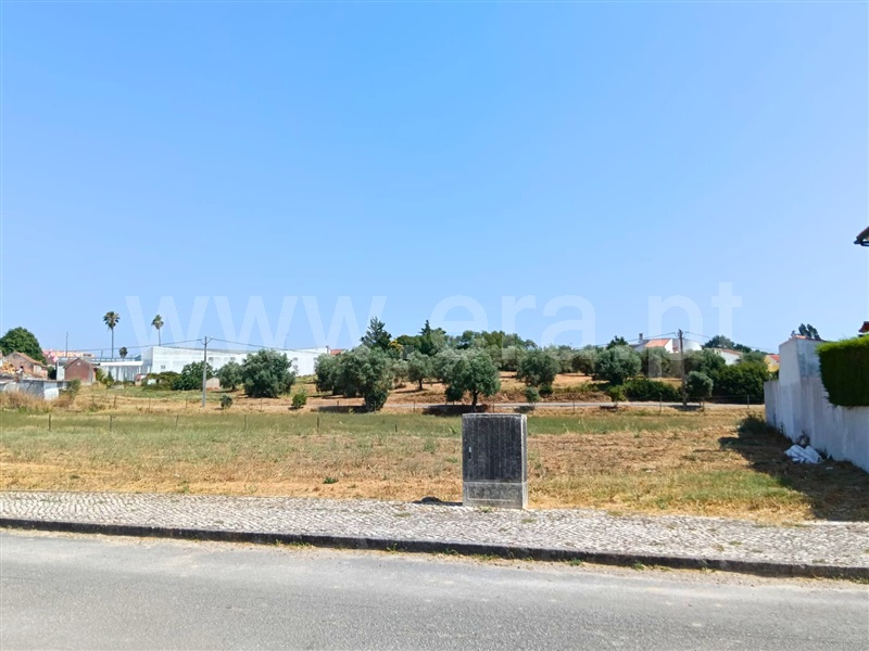 Lote / Santarém, Portela das Padeiras