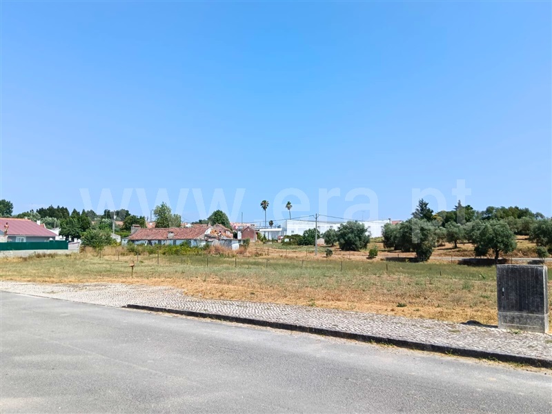 Lote  Santarém, Portela das Padeiras - 1492312 - 2