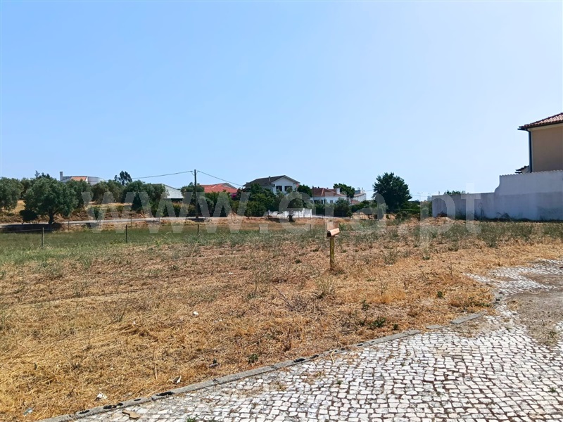 Lote  Santarém, Portela das Padeiras - 1492312 - 3