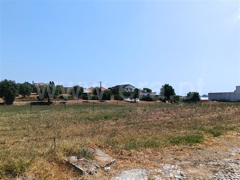 Lote  Santarém, Portela das Padeiras - 1492312 - 6