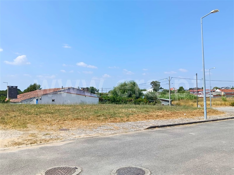 Lote / Santarém, Portela das Padeiras