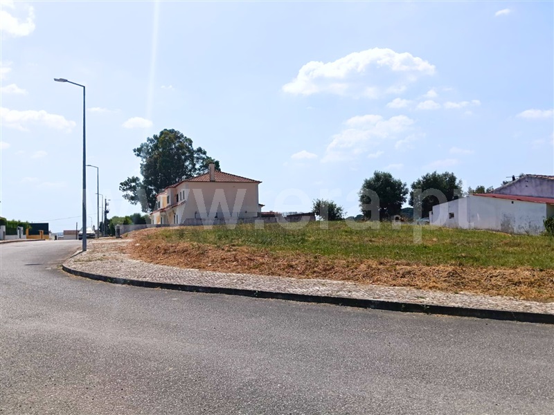 Lote  Santarém, Portela das Padeiras - 1492630 - 2