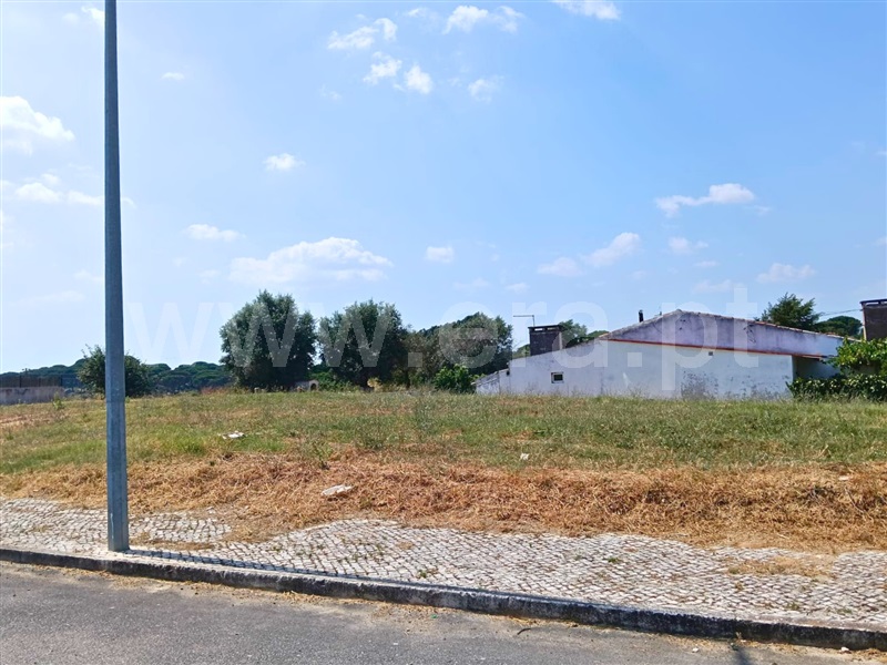 Lote  Santarém, Portela das Padeiras - 1492630 - 3