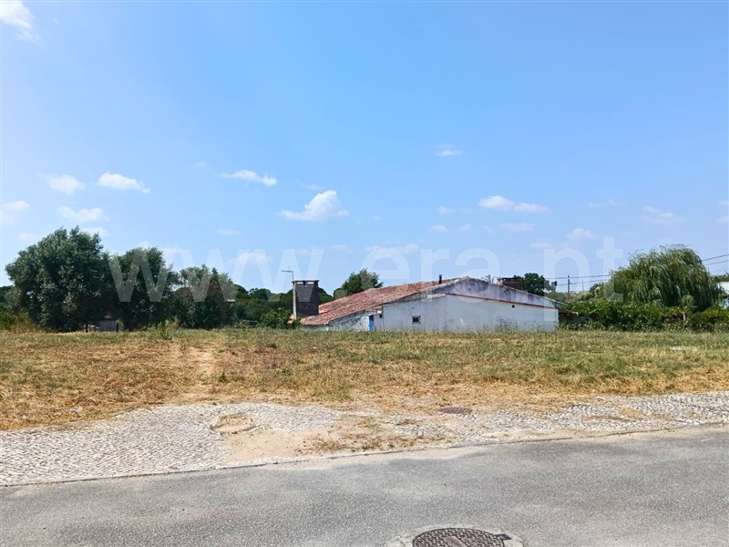 Lote  Santarém, Portela das Padeiras - 1492630 - 4