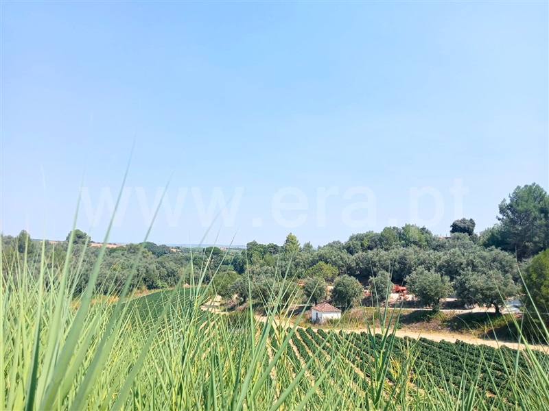 Lote / Santarém, Santarém (Marvila), Santa Iria da Ribeira de Santarém, Santarém (São Salvador) e Santarém (São Nicolau)