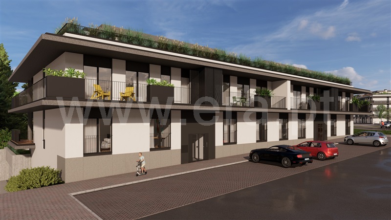 Lote / Santarém, Santarém (Marvila), Santa Iria da Ribeira de Santarém, Santarém (São Salvador) e Santarém (São Nicolau)