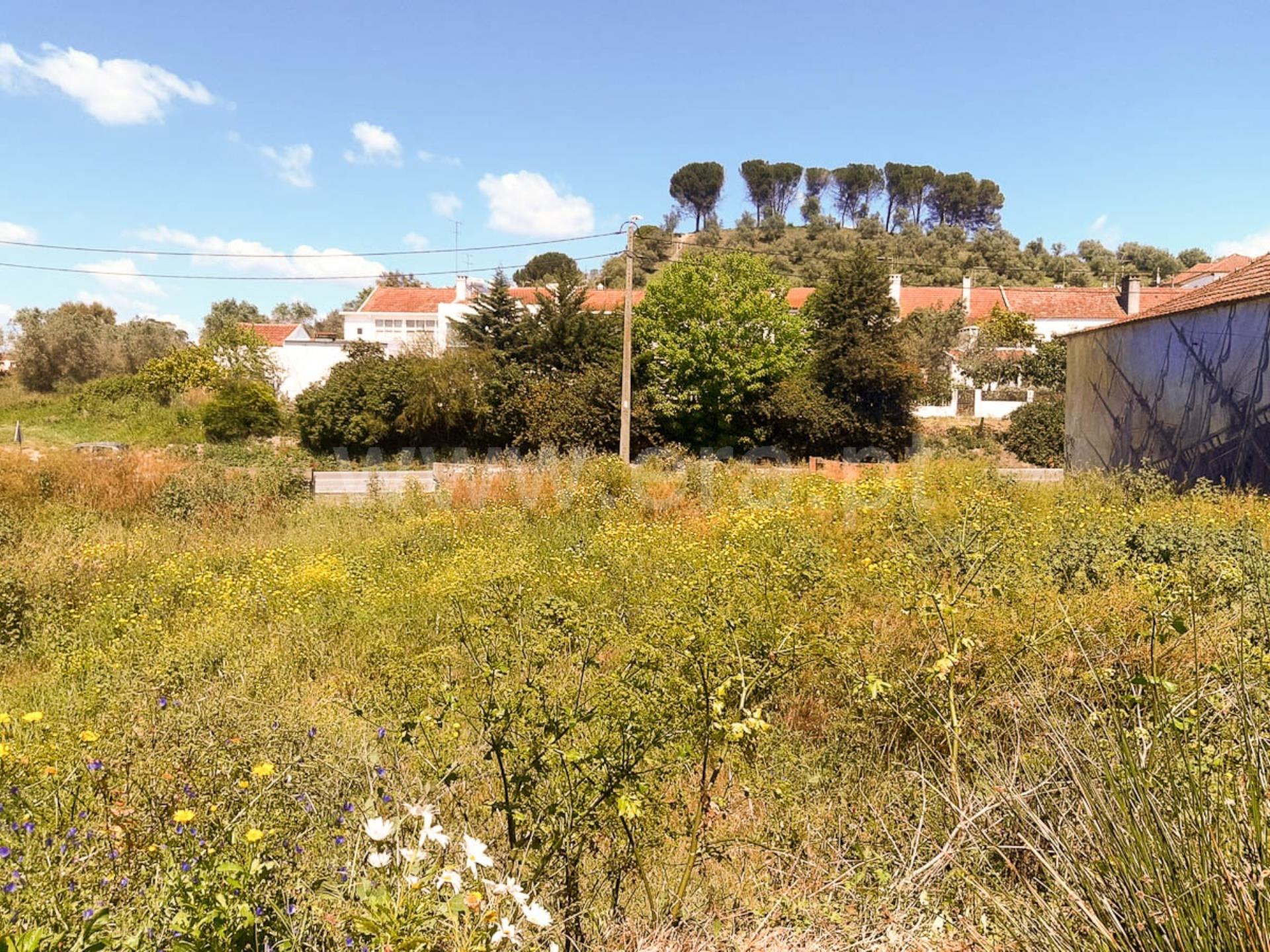 Land for sale in Santarém, Portugal — €300,000