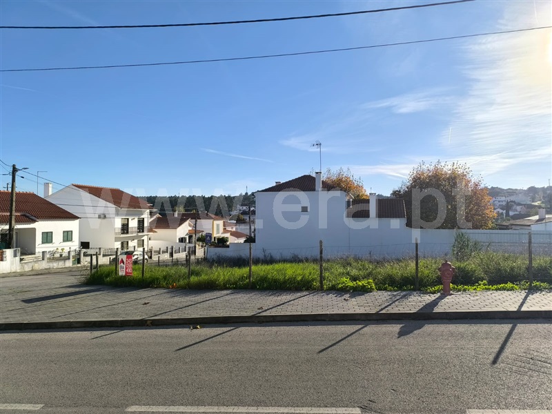 Lote / Santarém, Vale de Santarém
