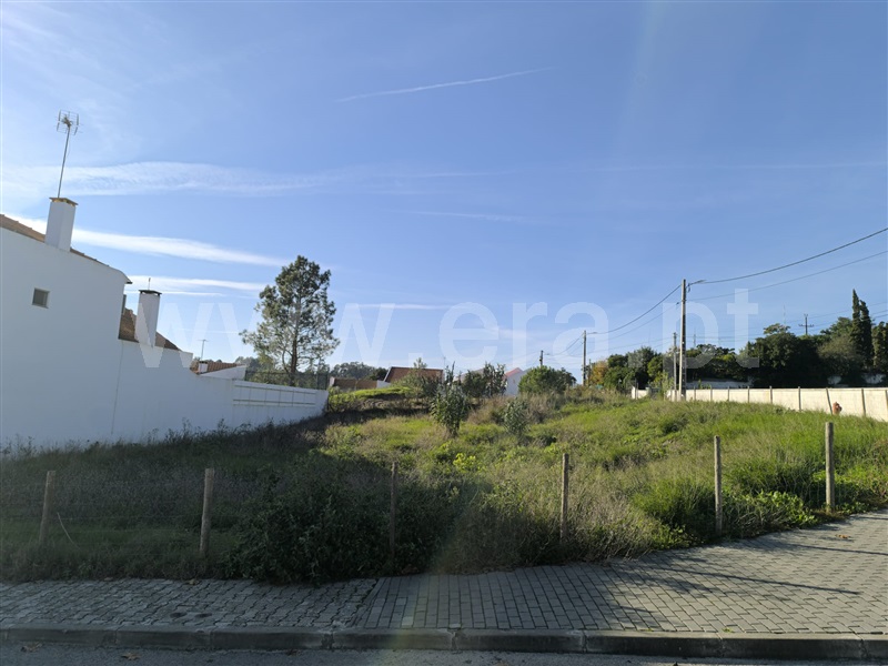 Lote  Santarém, Vale de Santarém - 1445512 - 3