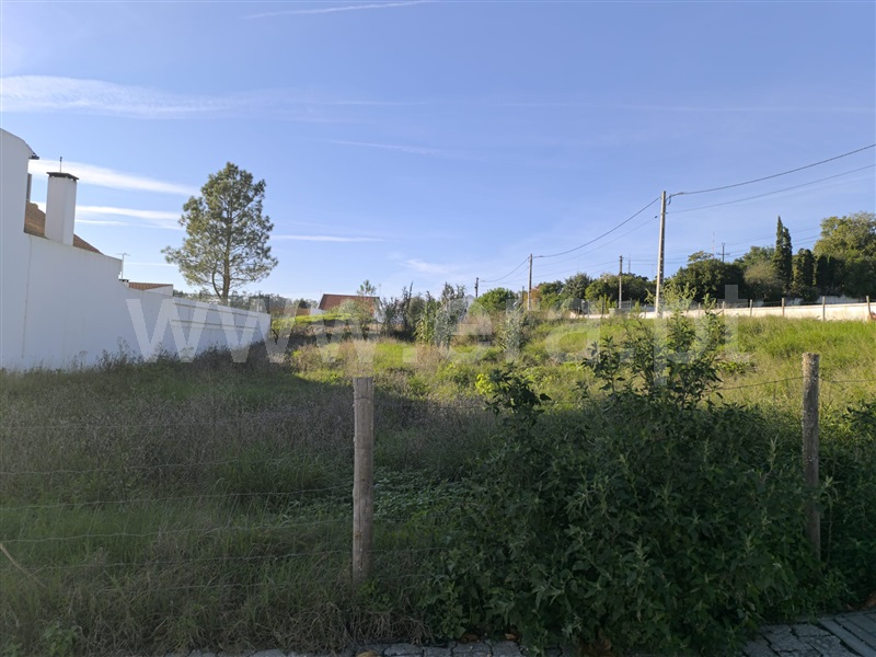 Lote  Santarém, Vale de Santarém - 1445512 - 4