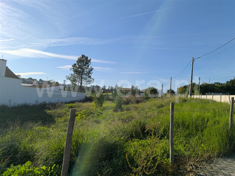 Lote  Santarém, Vale de Santarém - 1445512 - 6