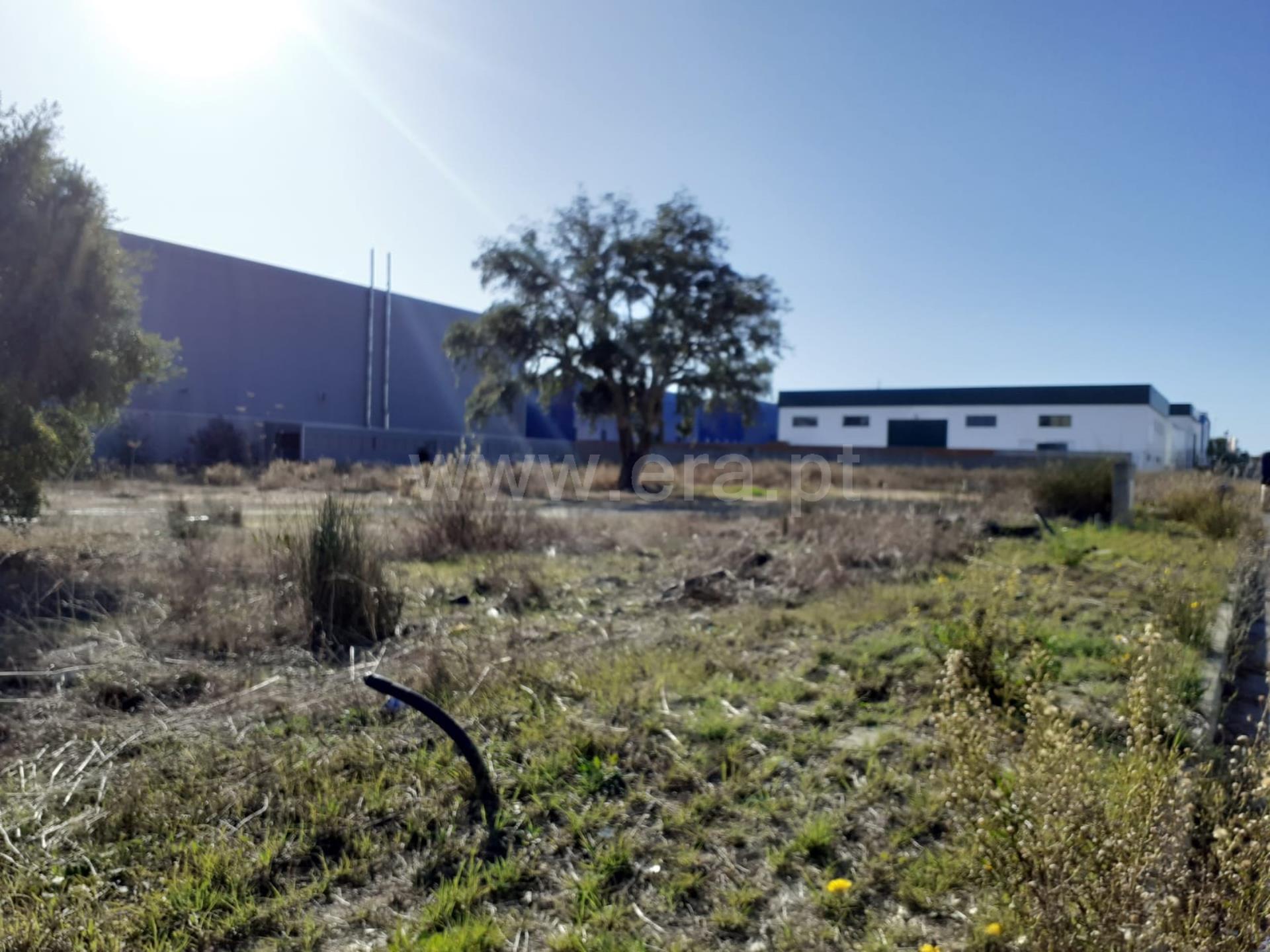 Land for sale in Santiago do Cacém, Portugal — €100,000