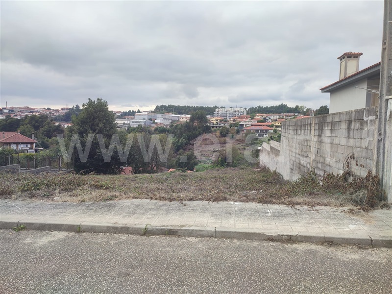 Lote / Santo Tirso, Aves