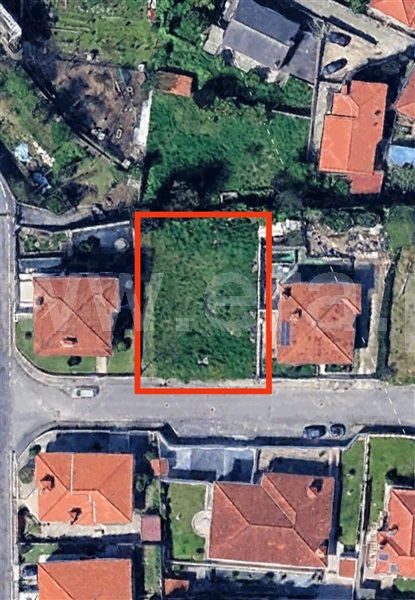 Lote / Santo Tirso, Aves