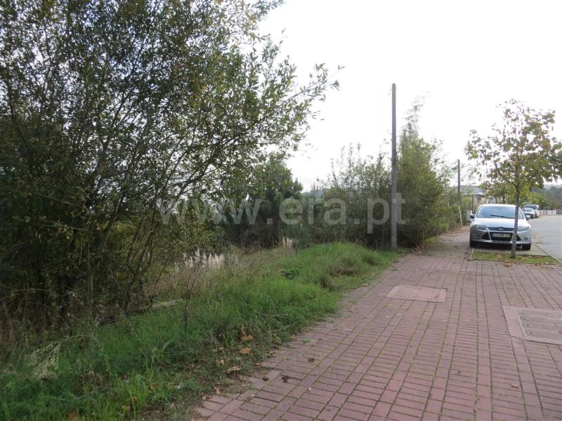 Lote / Santo Tirso, Carreira e Refojos de Riba de Ave