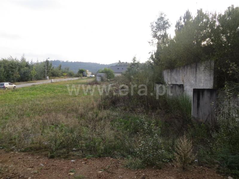 Lote  Santo Tirso, Carreira - 771046 - 6