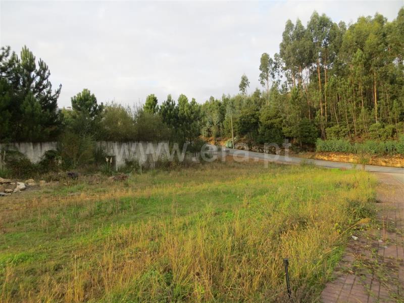 Lote  Santo Tirso, Carreira - 771046 - 7