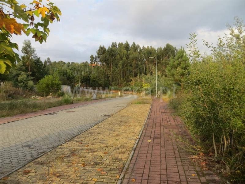 Lote  Santo Tirso, Carreira - 771046 - 13