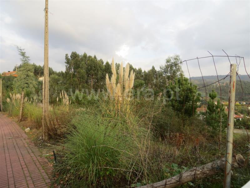 Lote  Santo Tirso, Carreira - 771048 - 3