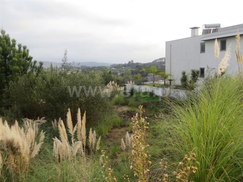 Lote  Santo Tirso, Carreira - 771048 - 14