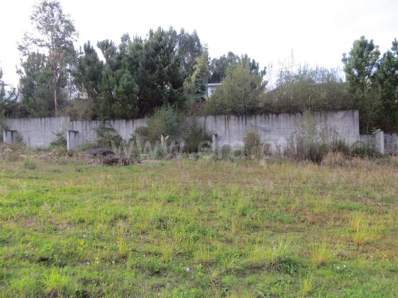 Lote  Santo Tirso, Carreira - 771048 - 7