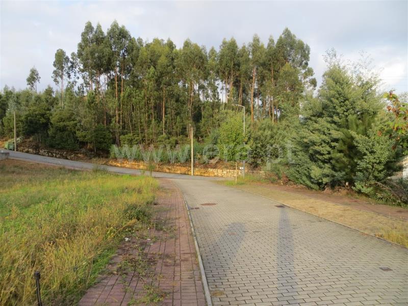 Lote  Santo Tirso, Carreira - 771048 - 9